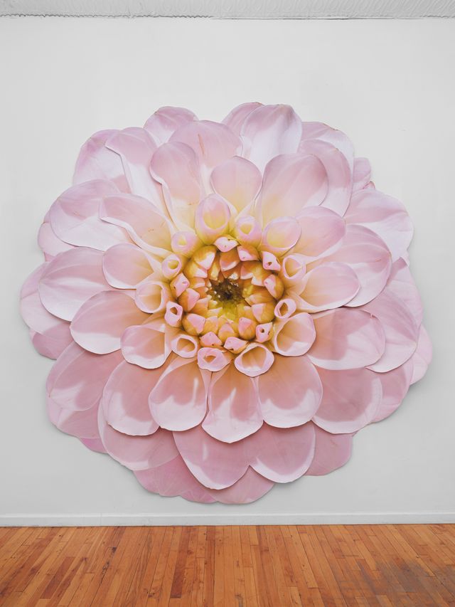 Image of artwork titled "Pink Dahlia" by Benjamin Langford