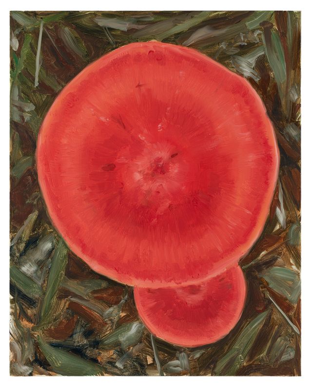 Image of artwork titled "Naming Rule" by Hidetaka Suzuki
