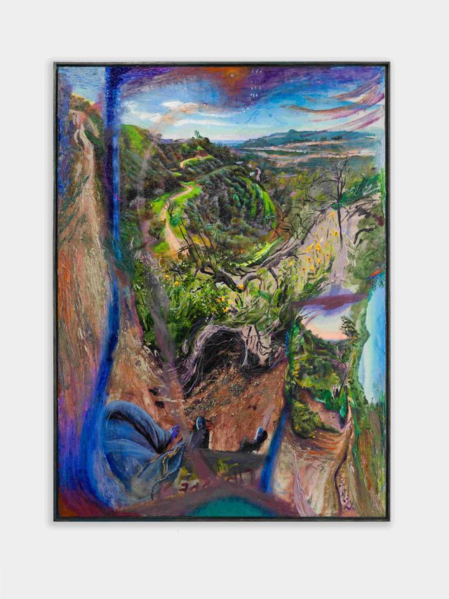 Image of artwork titled "Runyon Canyon in a Blue Hoodie" by Dylan Vandenhoeck