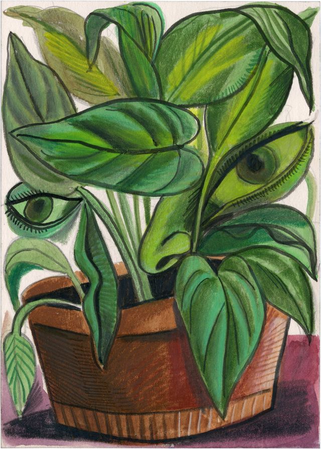 Image of artwork titled "Plant" by Paul Booth