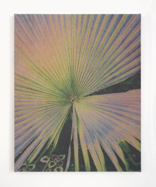 Image of artwork titled "Spectrum Palm" by John  Opera