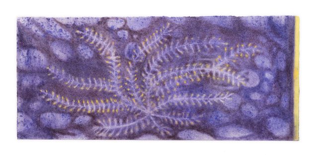 Image of artwork titled "A Purple Truth" by Mary Herbert