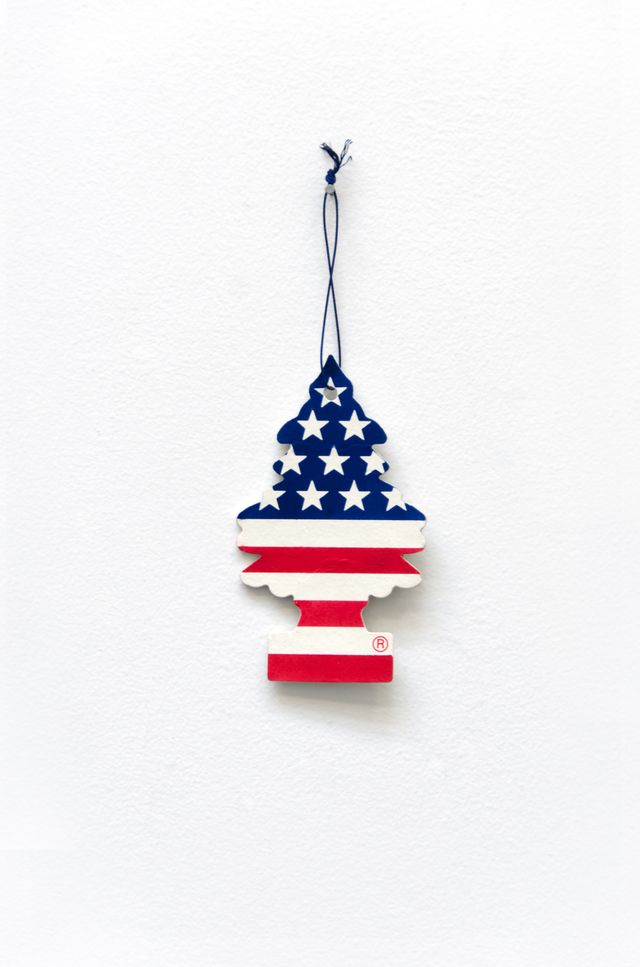 Image of artwork titled "America" by Mitchell Charbonneau