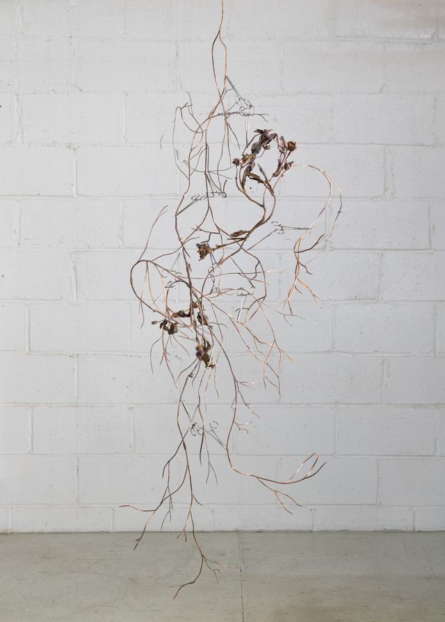 Image of artwork titled "Radical Neck Dissection" by Ben Gould