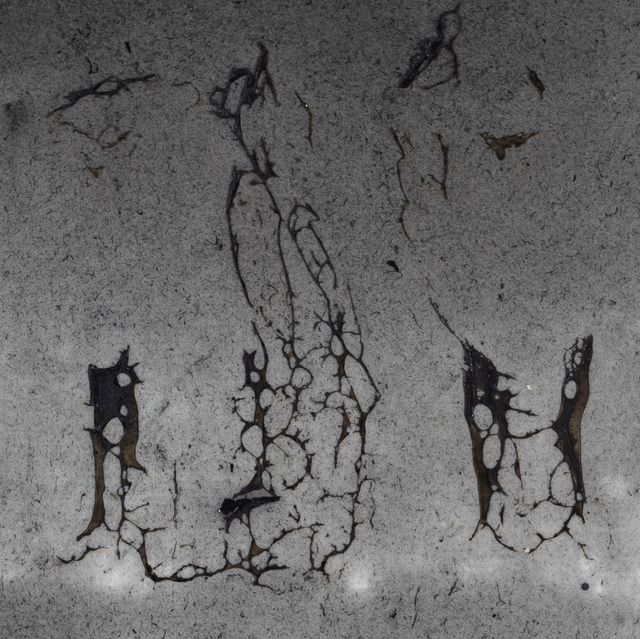Image of artwork titled "Untitled" by Kami Mierzvvinsk