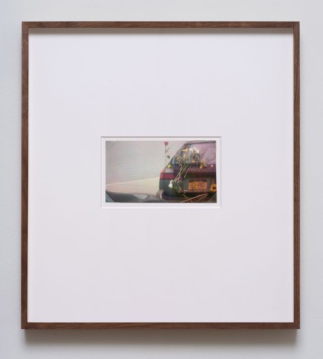 Image of artwork titled "Rose (from the series Vehicle Sightings)" by Julia Weist