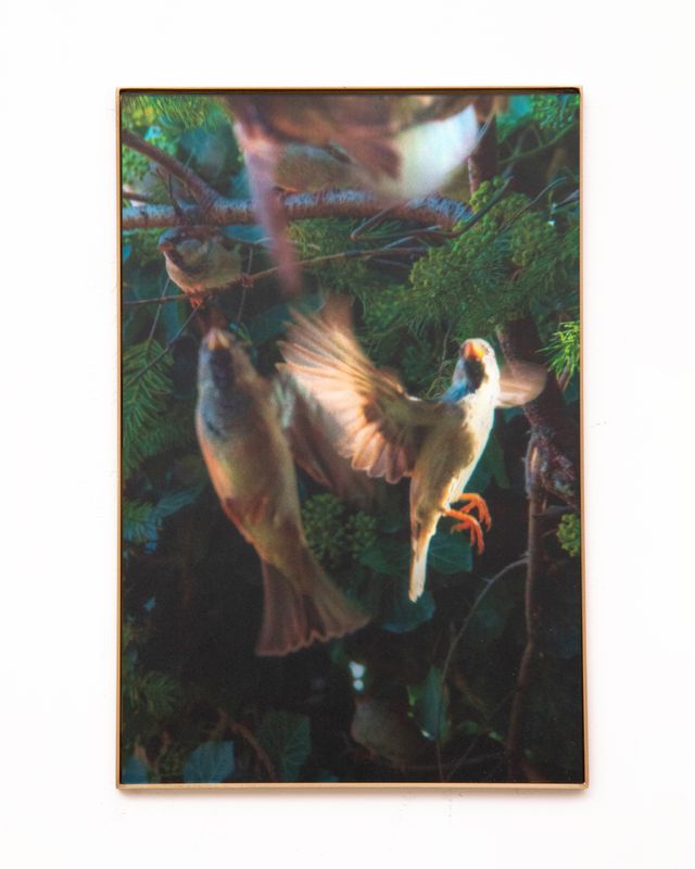 Image of artwork titled "Call A for Aphrodite" by Anaïs Horn