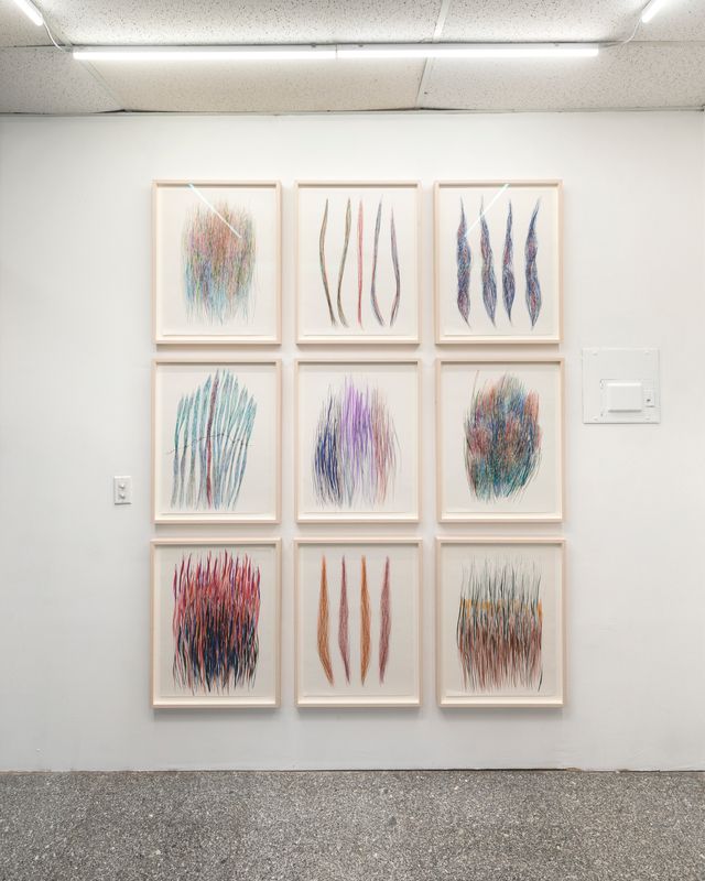 Image of artwork titled "Diviners Grasses " by Charlene  Vickers