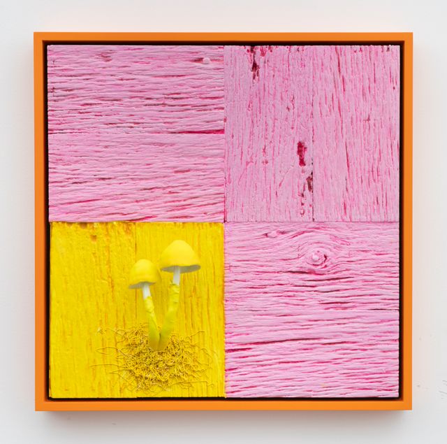 Image of artwork titled "Untitled (Mushroom Portrait, Pink and Yellow)" by Douglas Melini