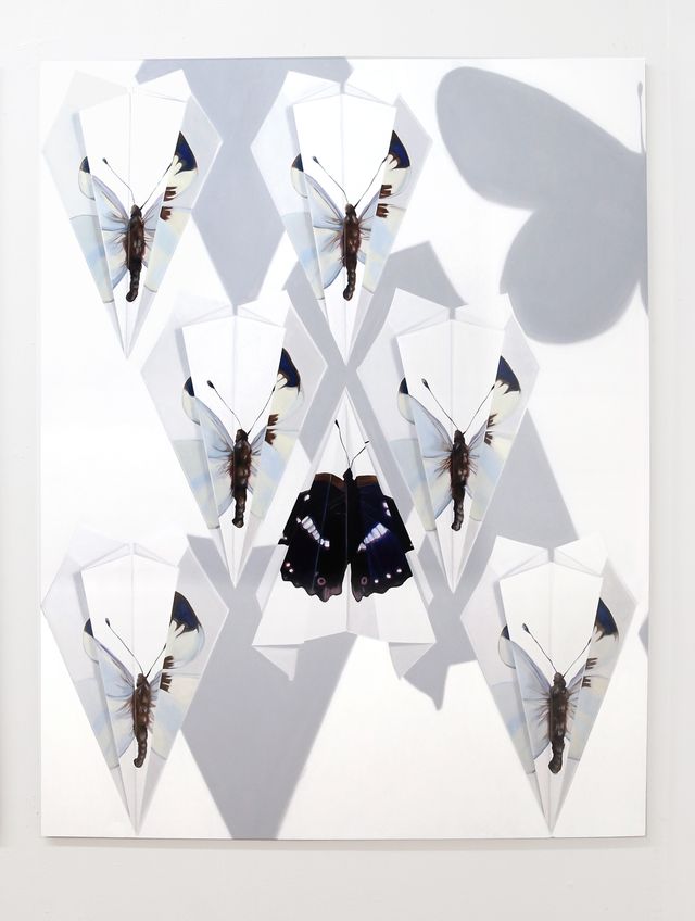 Image of artwork titled "Flies" by Johanna  Strobel