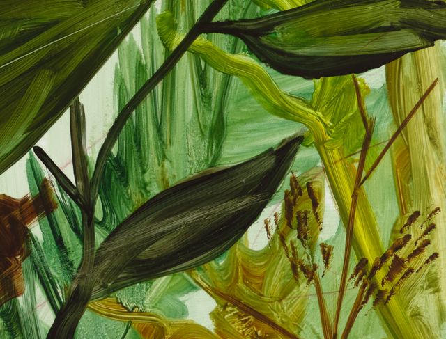 Image of artwork titled "Transformation Under The Sun" by Kemi Onabulé