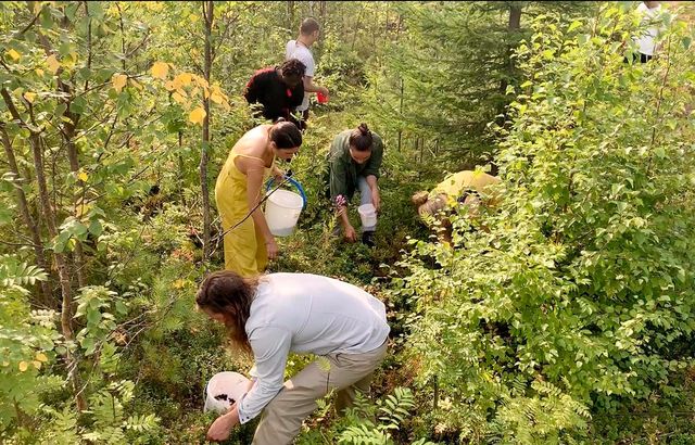 Rachel Monosov with CTG Collective, <em>The Berry Eaters</em>, 2019 (still) 