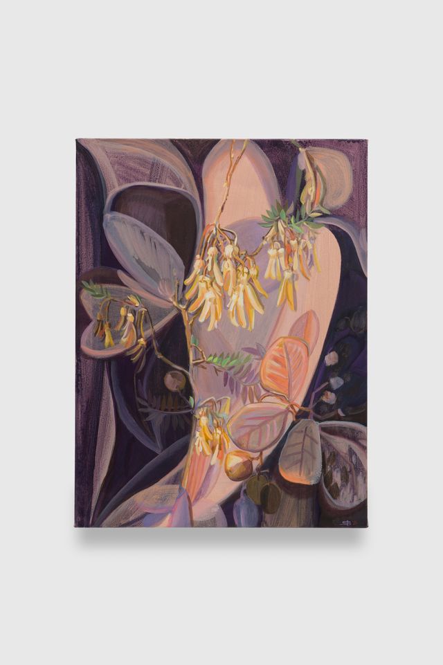Image of artwork titled "Sophoro Toromiro" by Sarah Bedford