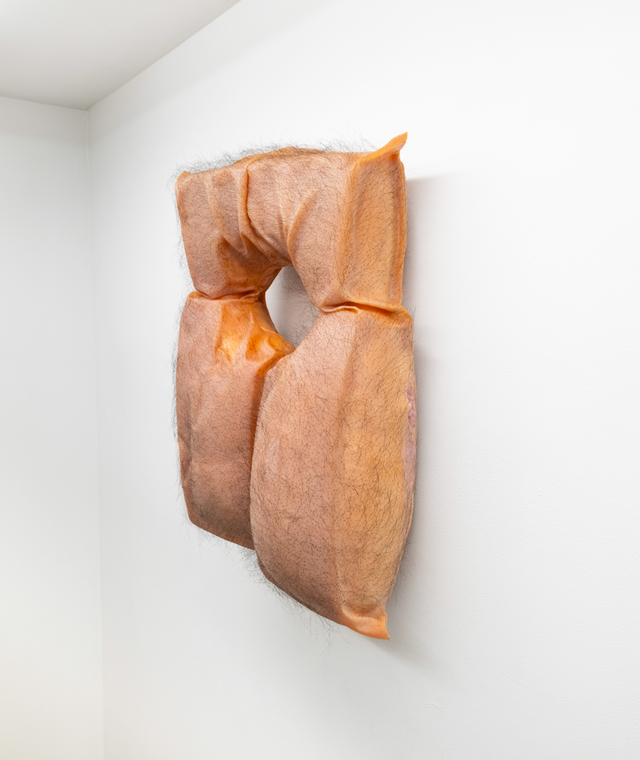Image of artwork titled "Untitled (life preserver)" by Todd  Lim