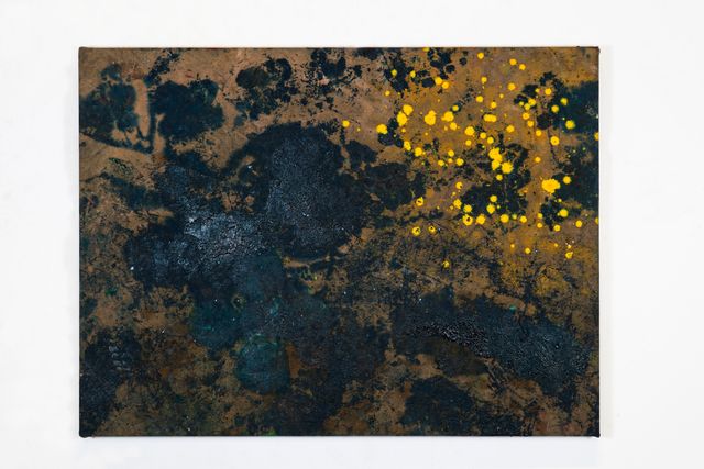 Image of artwork titled "Noctiluca Scintillans" by Jay Payton