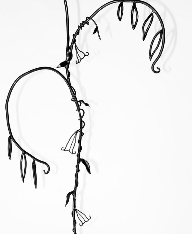 Image of artwork titled "Worshipping at the Alter of the Willow (Where I Stopped and Smoked a Cigarette and Thought About This Mortal Coil)" by Lane  Walkup