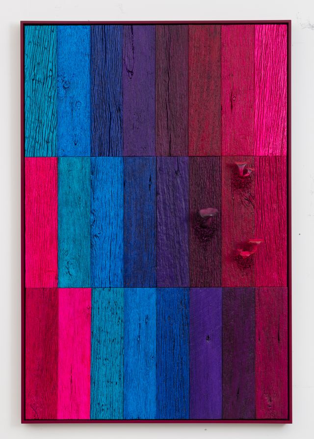 Image of artwork titled "Untitled (Landscape with Mushrooms, Three Tier Shifting Spectrum Magenta-Turquoise)" by Douglas Melini