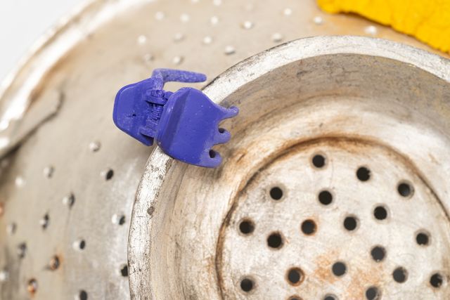 Image of artwork titled "Colander with sponge and clip" by Tamara Johnson