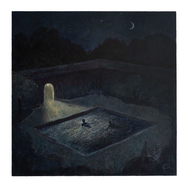 Image of artwork titled "Midnight Swim" by Mason  Owens