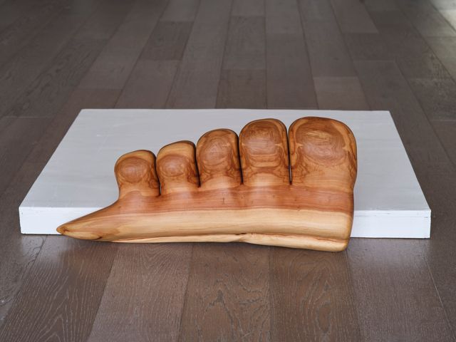 Image of artwork titled "Toes for Grounding" by Wes Thompson