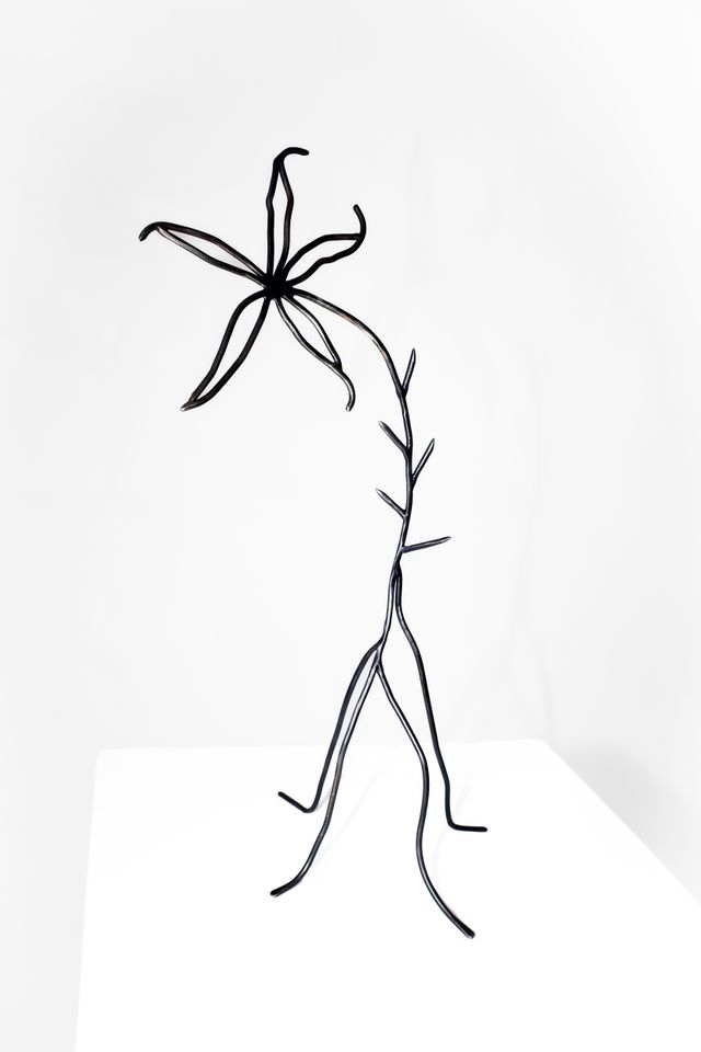 Image of artwork titled "Glistening in the Moonlight of the Swamp" by Lane Walkup