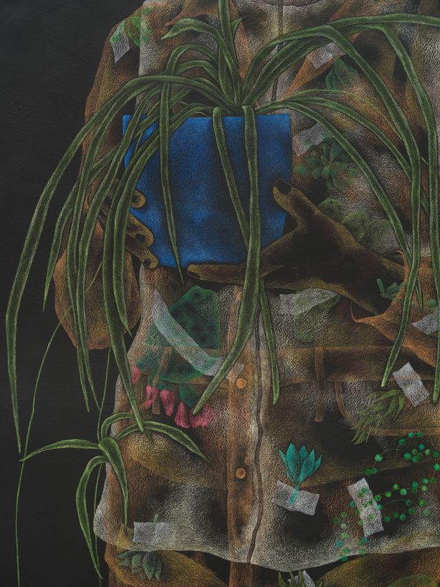 Image of artwork titled "Cactus Smuggler (Spider Plant)" by Samantha Roth