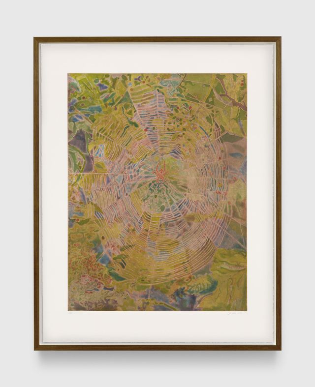 Image of artwork titled "Orb Weaver, Late Summer" by Hayley Barker