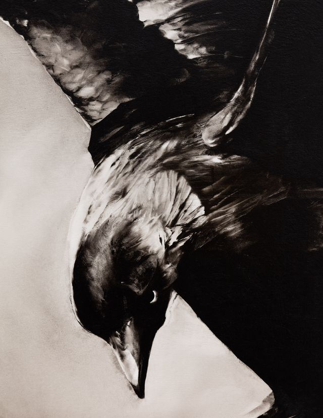 Image of artwork titled "Dive" by Michael Thompson