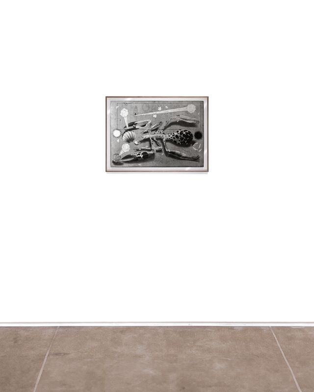 Image of artwork titled "The Everything Crisis" by Theo  Michael