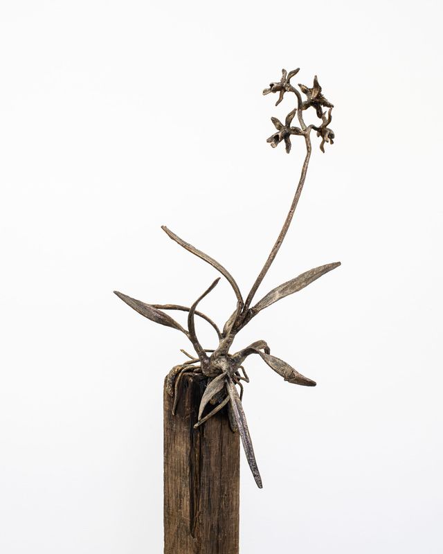 Image of artwork titled "From There On (An Orchid’s Song)" by Ernesto Solana