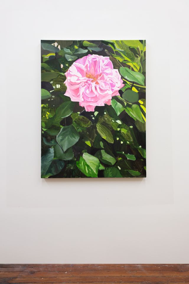 Image of artwork titled "Madame Boll Rose" by Alexander Russi