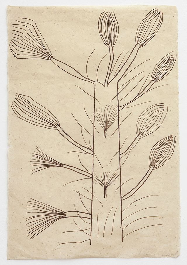 Image of artwork titled "Hii hi henaki kuami XI (Árboles sin hojas)," by Sheroanawe Hakihiiwe