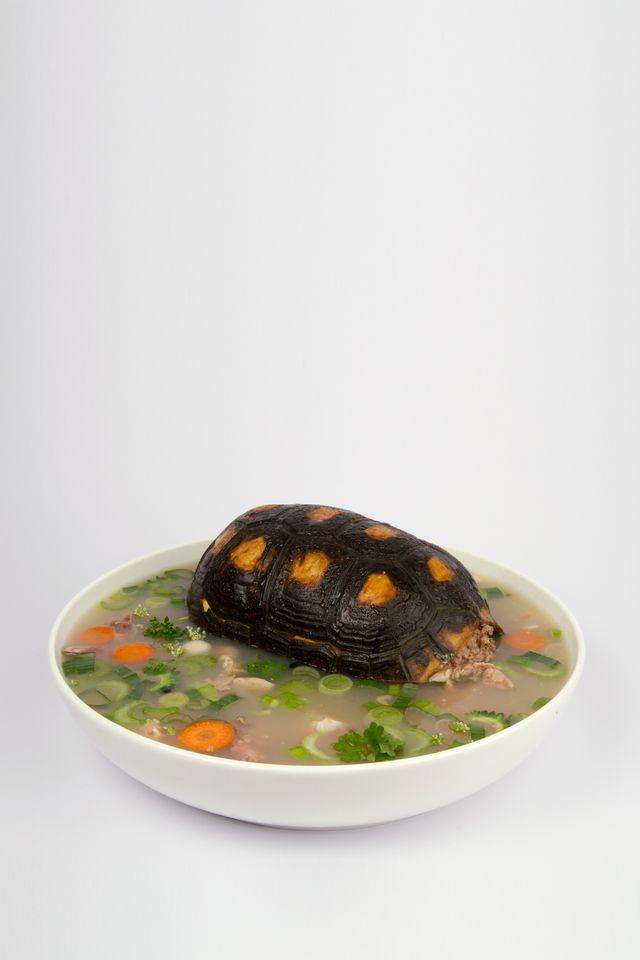 Image of artwork titled "Tortoise Soup" by Kasper Hesselbjerg