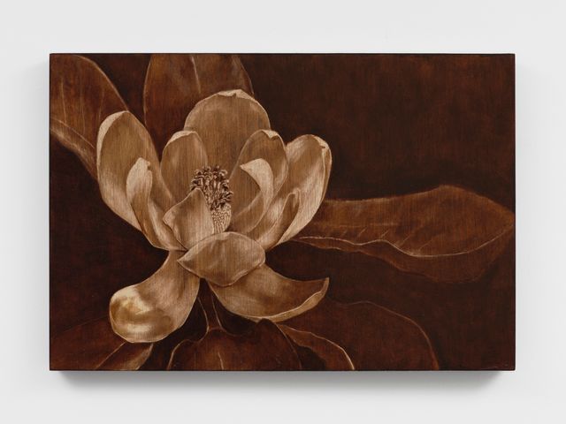 Image of artwork titled "Untitled (Magnolia Grandiflora)" by Orfeo Tagiuri