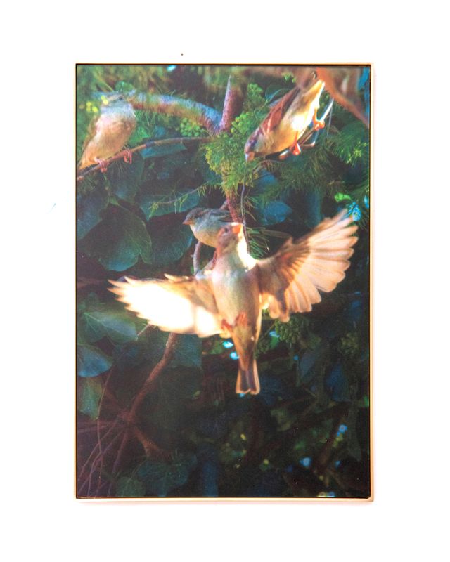 Image of artwork titled "Call A for Aphrodite" by Anaïs Horn