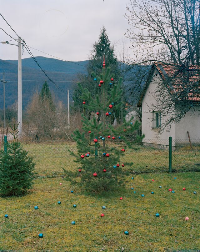 Image of artwork titled "Still-life with Christmas Tree" by Hrvoje Sloven