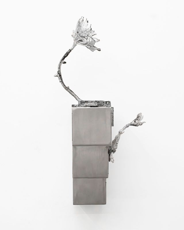 Image of artwork titled "The Anecdote Reveals Something Else" by Ernesto Solana