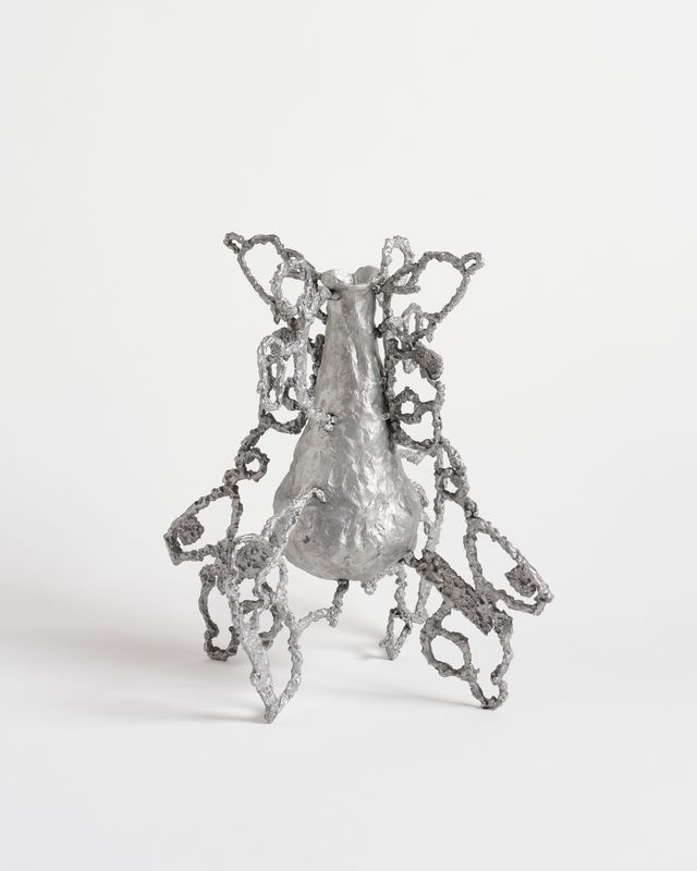 Image of artwork titled "Echo" by A History of Frogs