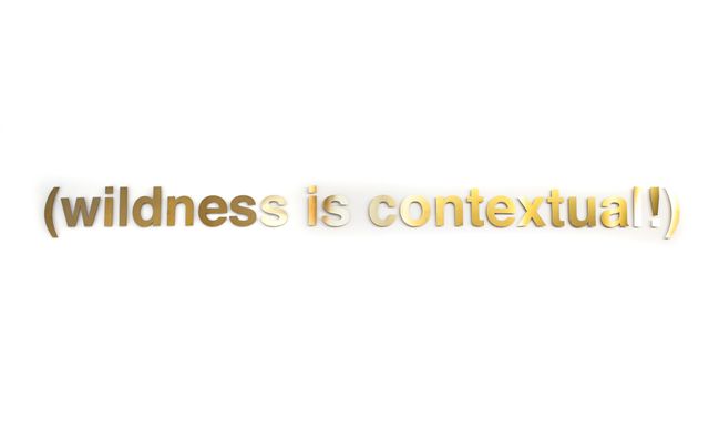 Image of artwork titled "(wildness is contextual!)" by Carlos  Noronha Feio