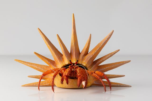 Image of artwork titled "Hermit – The Sun" by Charles Degeyter