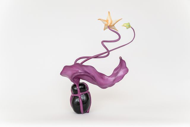 Image of artwork titled "Tulipa Quaestio Puer [Problem Child] (Terraformer 5)" by James Jessiman