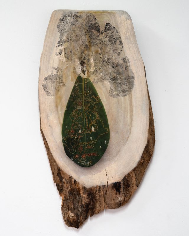 Image of artwork titled "Verso de liquen" by Javier Orfón