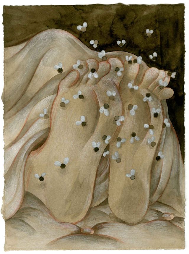 Image of artwork titled "untitled (feet) " by Emily  Harter