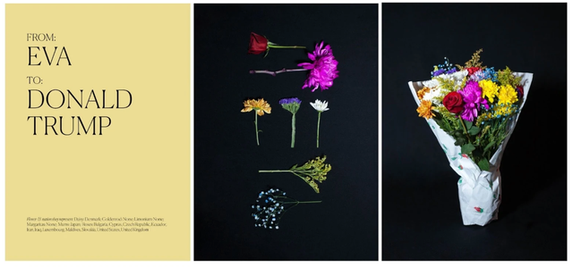 Image of artwork titled "Flowers for Immigration, Eva" by Lizania  Cruz