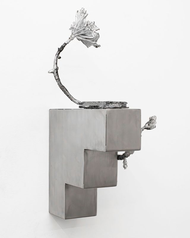 Image of artwork titled "The Anecdote Reveals Something Else" by Ernesto Solana