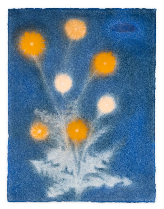 Image of artwork titled "Nightflowers" by Mary Herbert