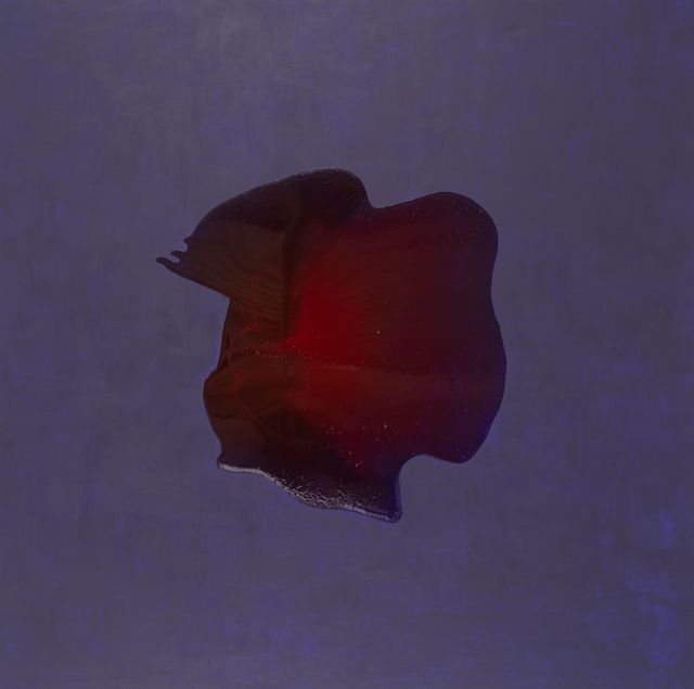 Image of artwork titled "wwgwfo" by Kami Mierzvvinsk