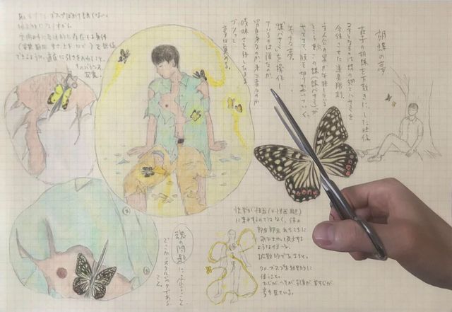 Image of artwork titled "Sketch for The Butterfly Dream #01" by Fuyuhiko Takata