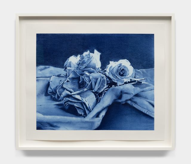 Image of artwork titled "Roses on Dishtowel" by Andy Mister