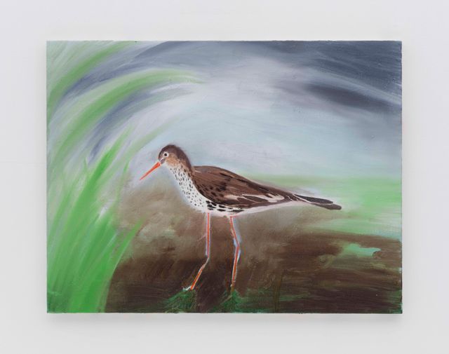 Image of artwork titled "snipe" by Yu Nishimura